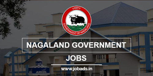nagaland govt jobs 2021 - jobads.in
